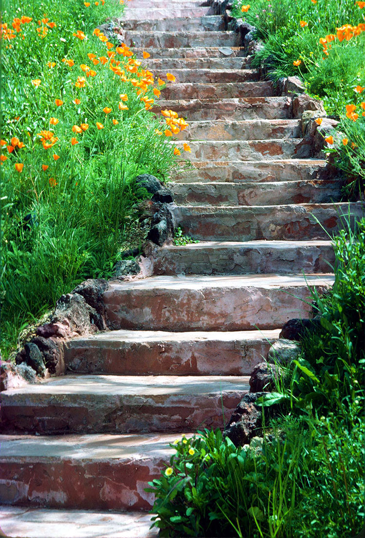 Steps